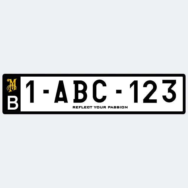 Plaque plexi meguiar A  3.webp