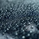 Revitax_08.webp
