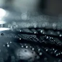 Revitax_03.webp