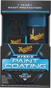 Hybrid Paint Coating Kit