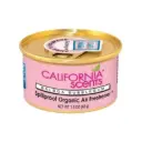 CALIFORNIA SCENTS Air Freshener CAN-049 Balboa Bubblegum 
